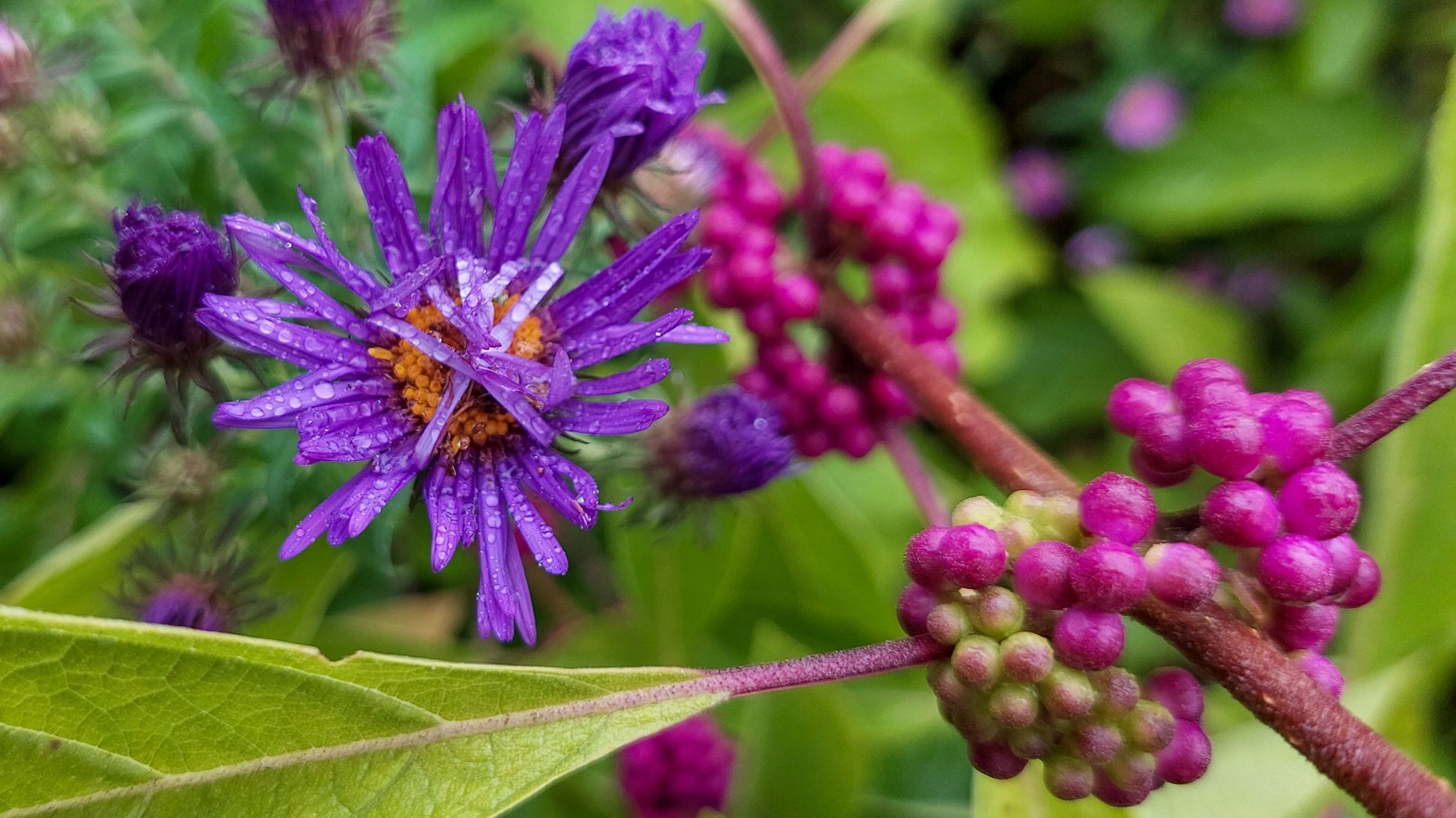 Inspiration and Creativity, Taking Cues From Nature