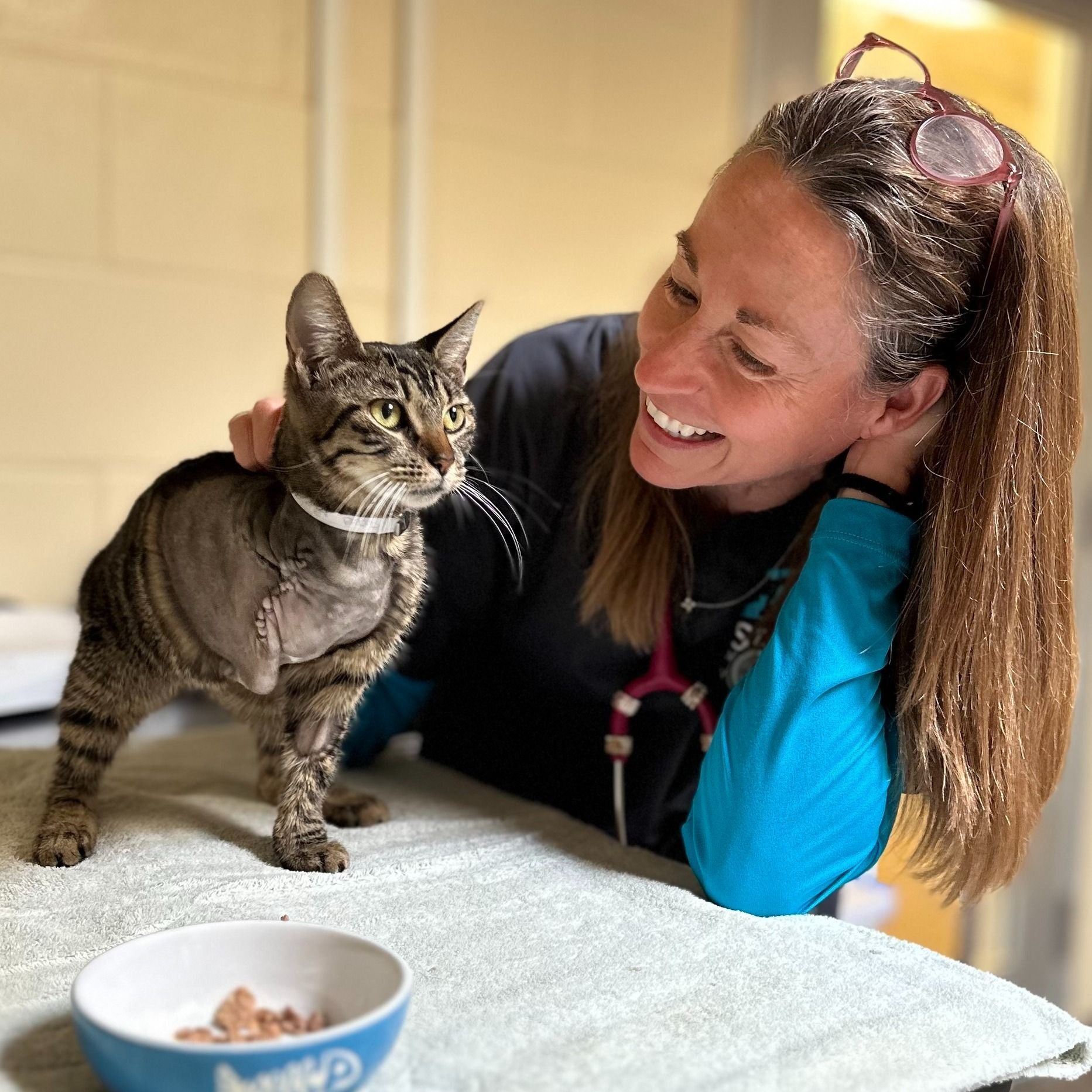 Your Veterinary Team