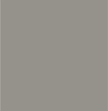 Grey - 1 Gallon - Recycled Paint