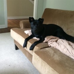 Winnie (formerly Ellie)
