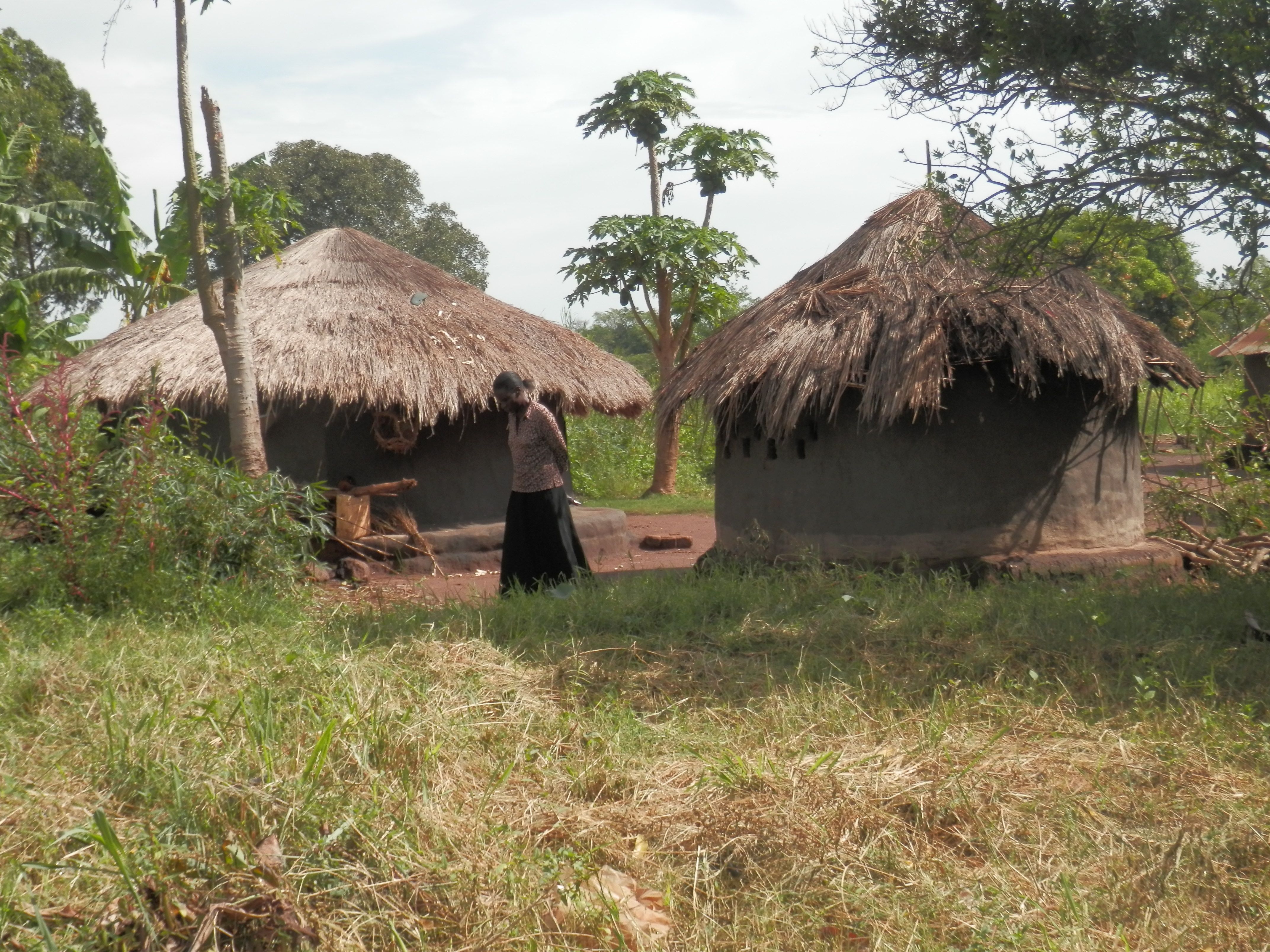 PA282246.JPG
