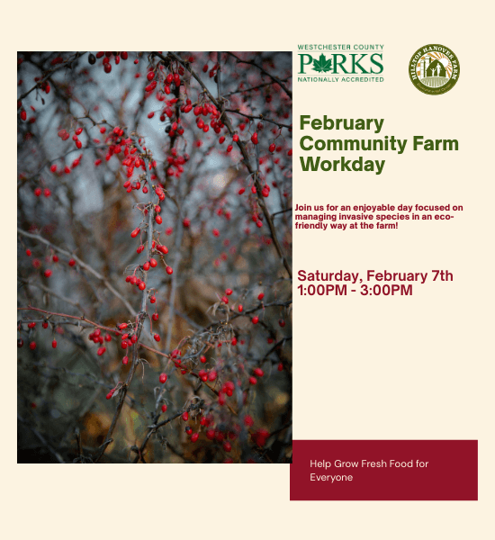 February's Community Farm Work Day