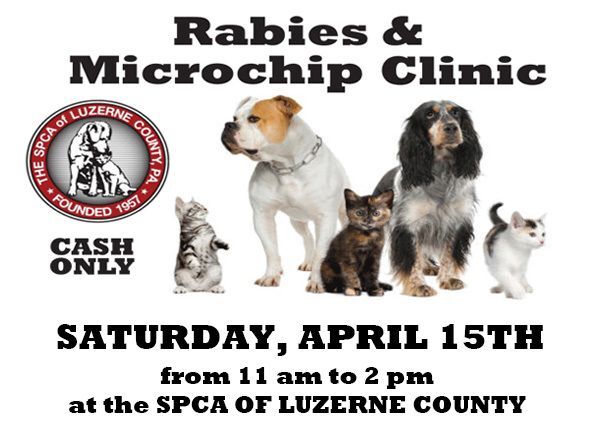 Rabies & Microchip Clinic