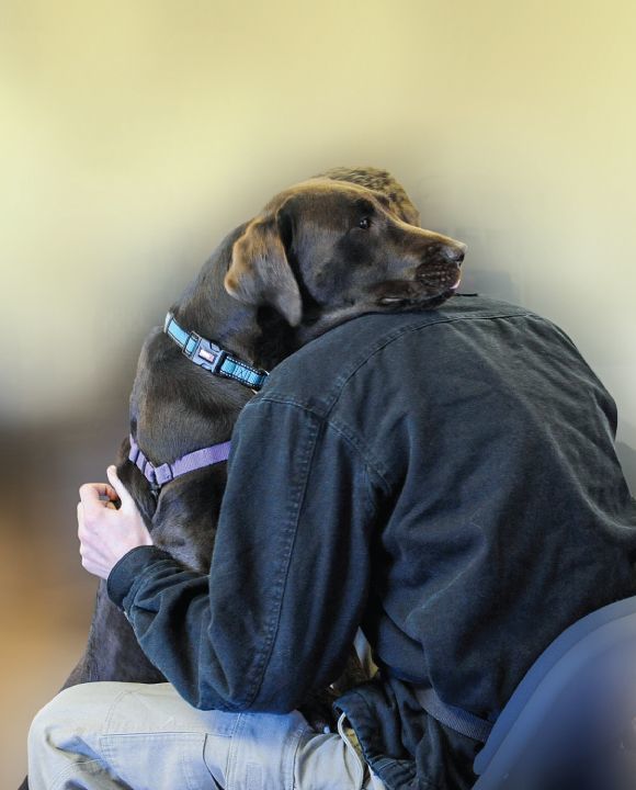 Service Dogs and Suicide Prevention