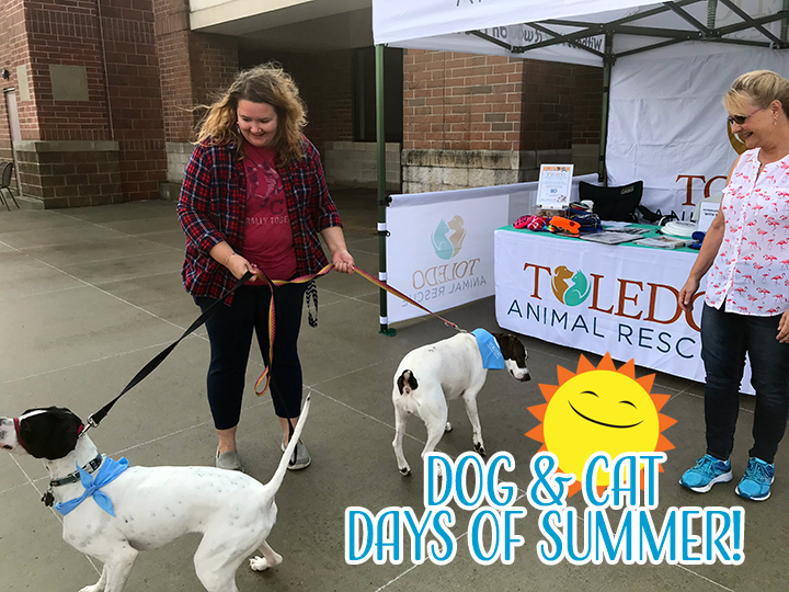 Dog & Cat Days of Summer - Adoption Event : Event Calendar : News & Events  : Toledo Animal Rescue