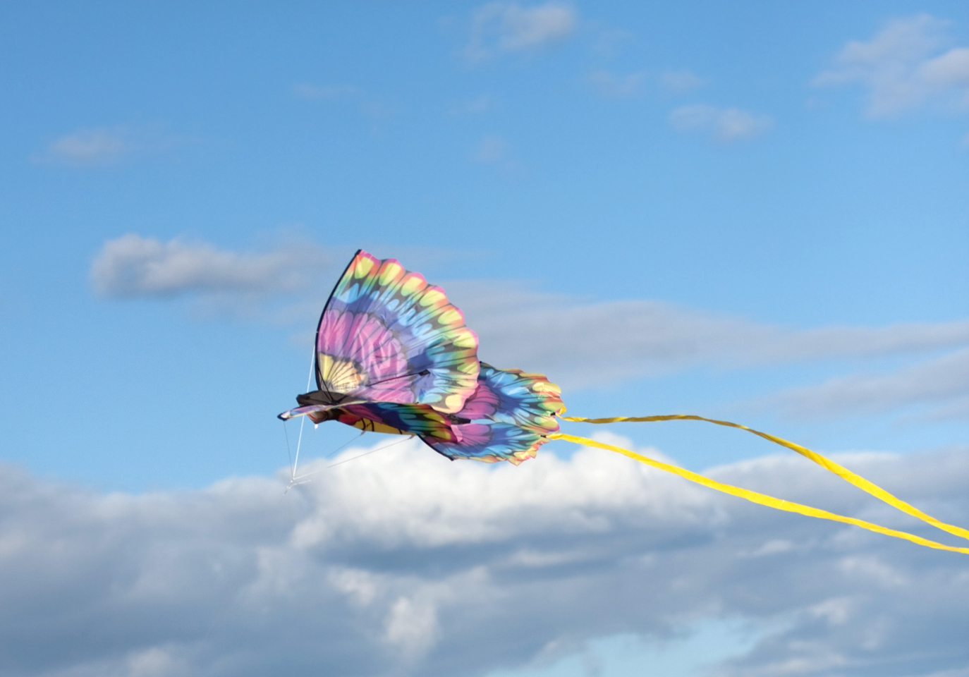 Kite