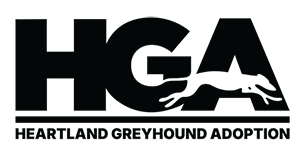 Heartland Greyhound Adoption