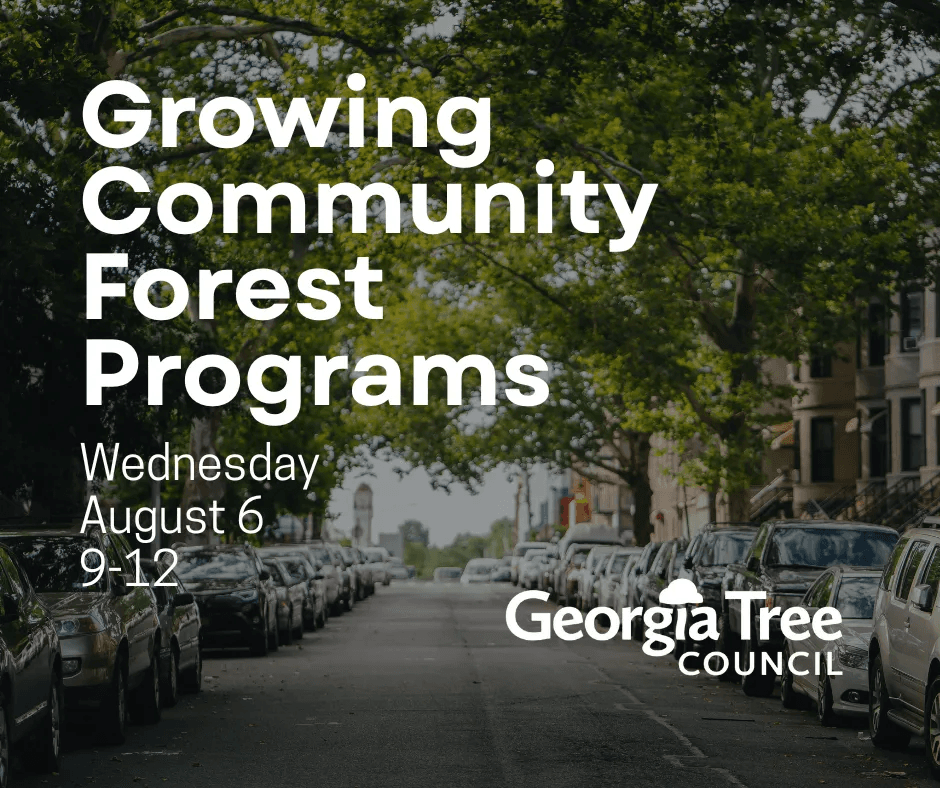 3rd Quarter Program: Growing Community Forest Programs
