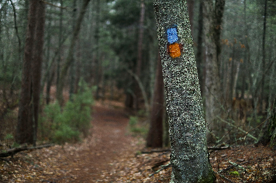 Fisherville Brook Wildlife Refuge