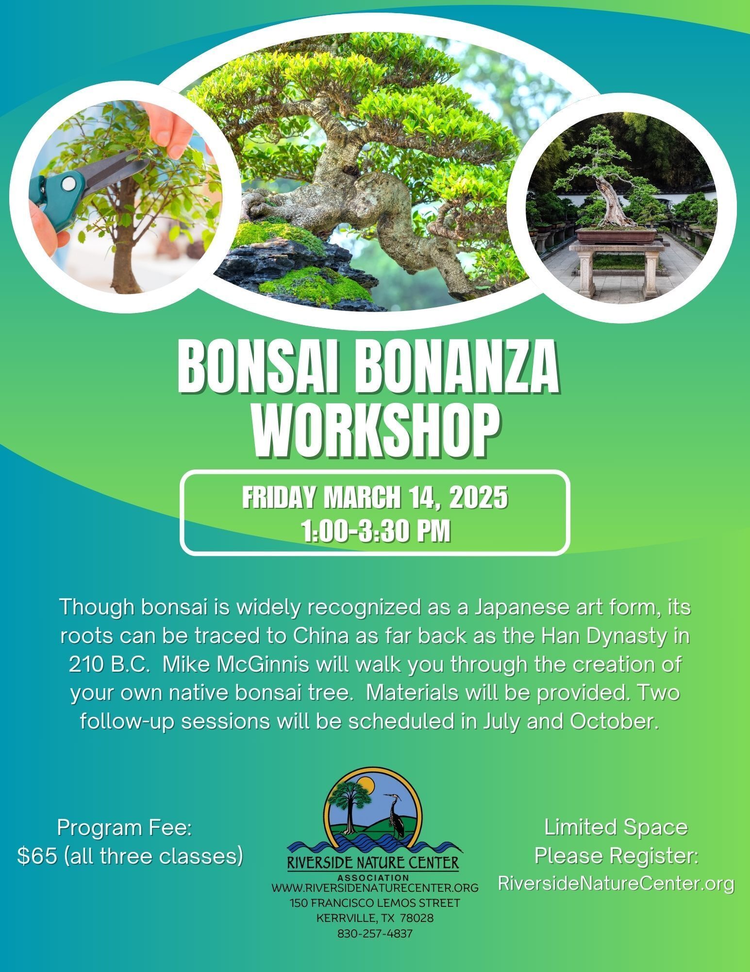 Kerrville Texas, Riverside Nature Center, Bonsai Bonanza, Han Dynasty, Japanese art, nature lover, kerrville events, native bonsai tree, China