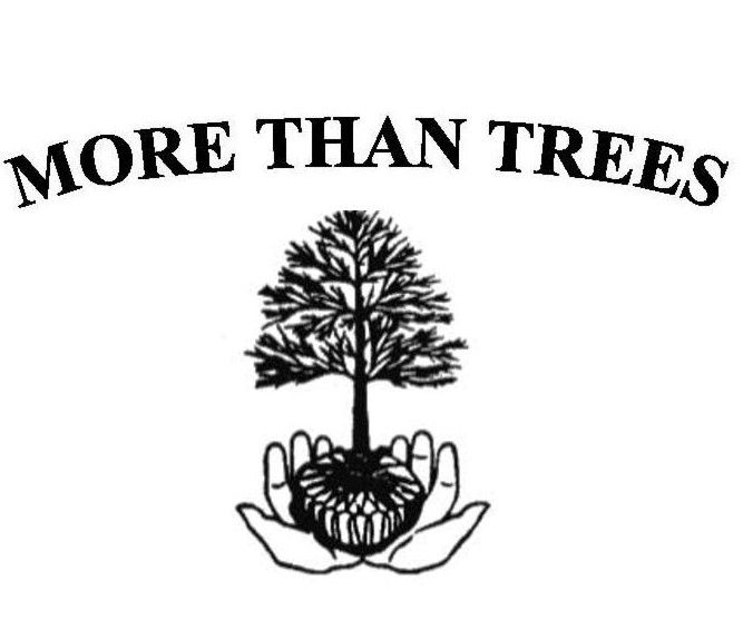 More Than Trees