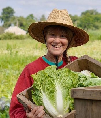A woman wearing a big straw hat smiles at the photographer while carrying a wooden crate of lettuce with very large leaves.