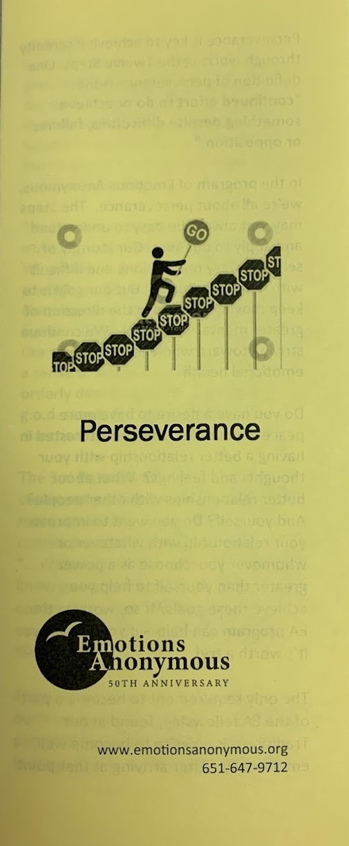 Item #101 — "Perseverance" Pamphlet (New in 2021)