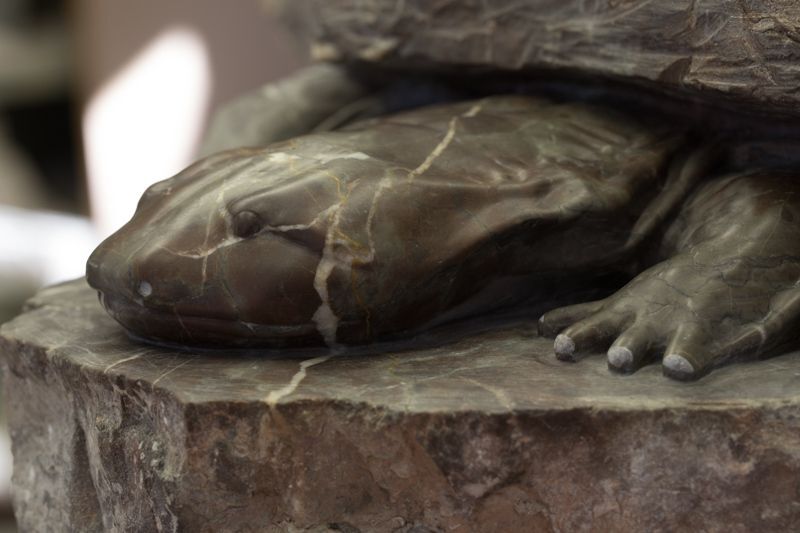 Hellbender sculpture