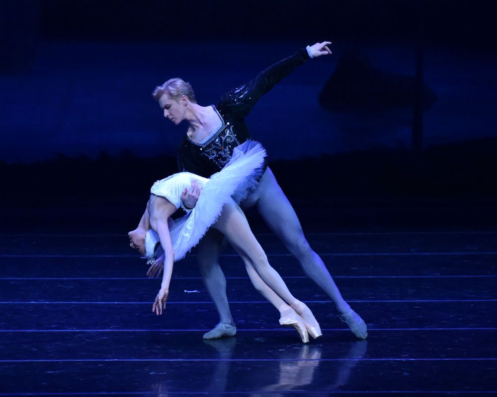 Festival Ballet Theatre: Swan Lake