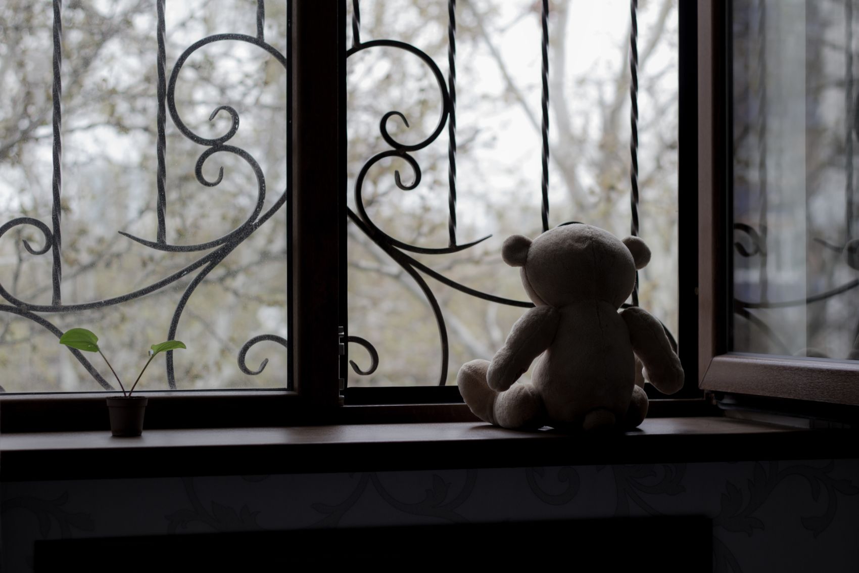 Discovering MErcy_Patricia's Testimony_Teddy Bear Looking Outside Gated Window