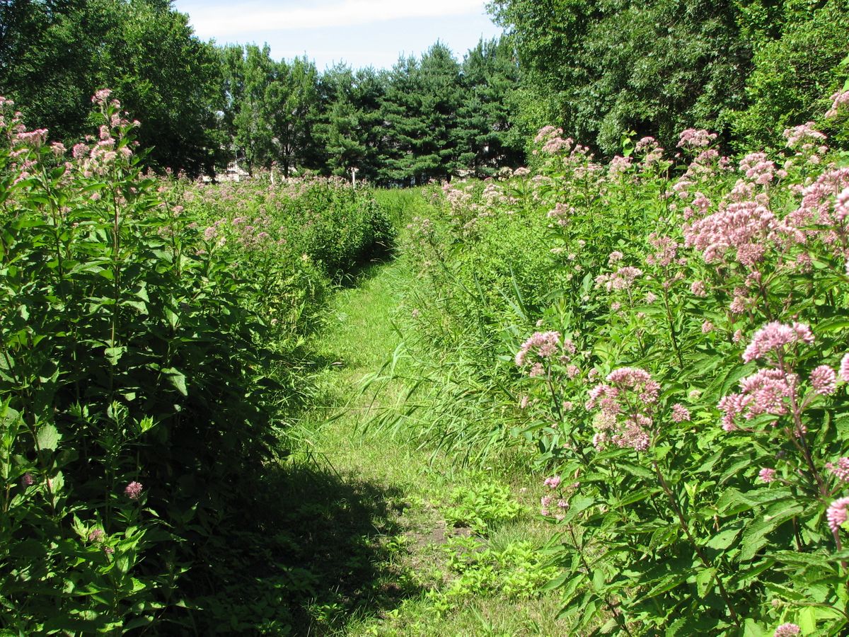 Powder Mill Ledges Wildlife Refuge