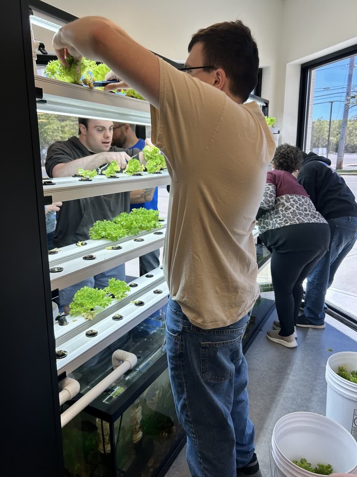 First Harvest from New Aquaponics Garden