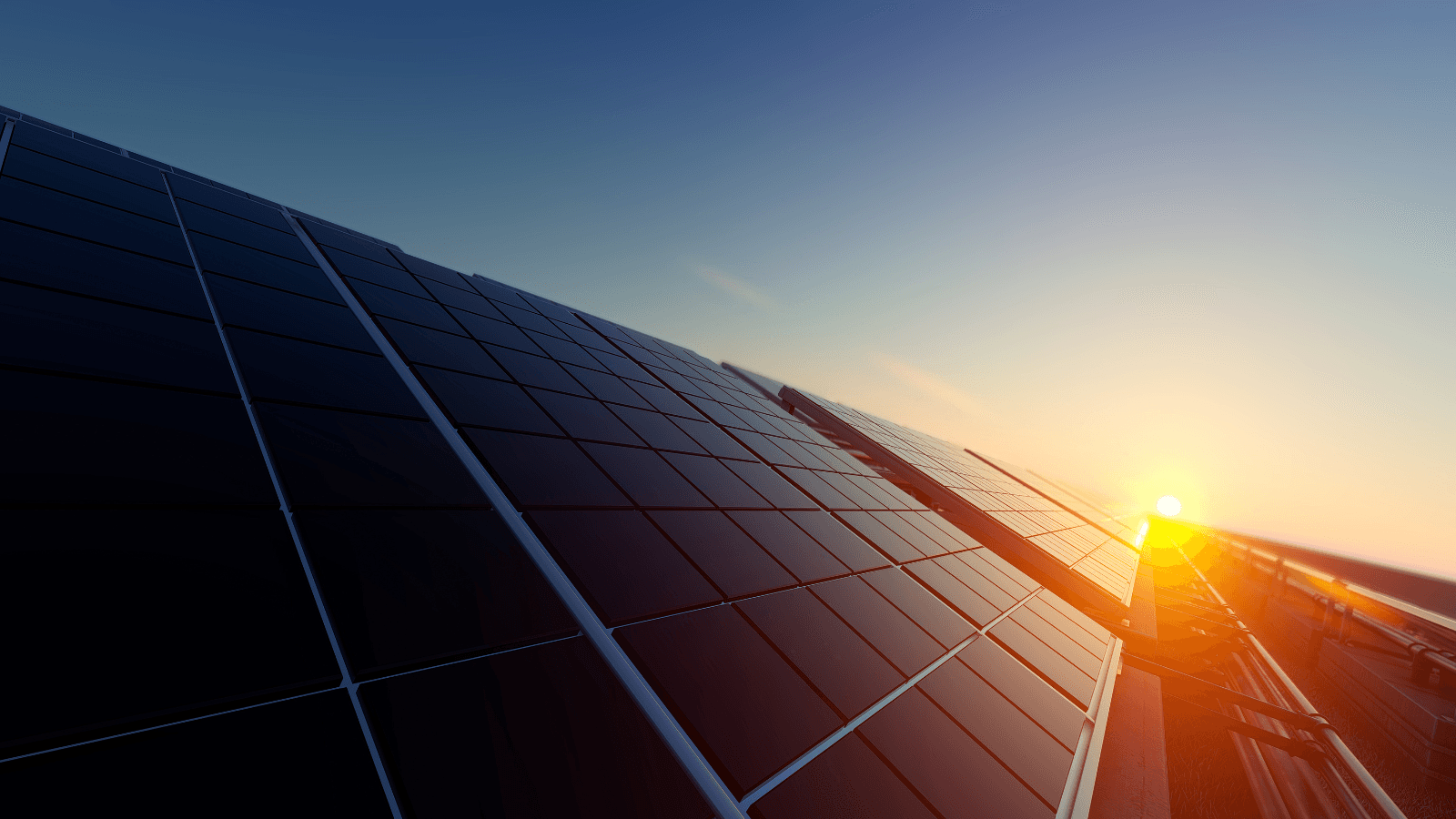 Solar panels at sunset