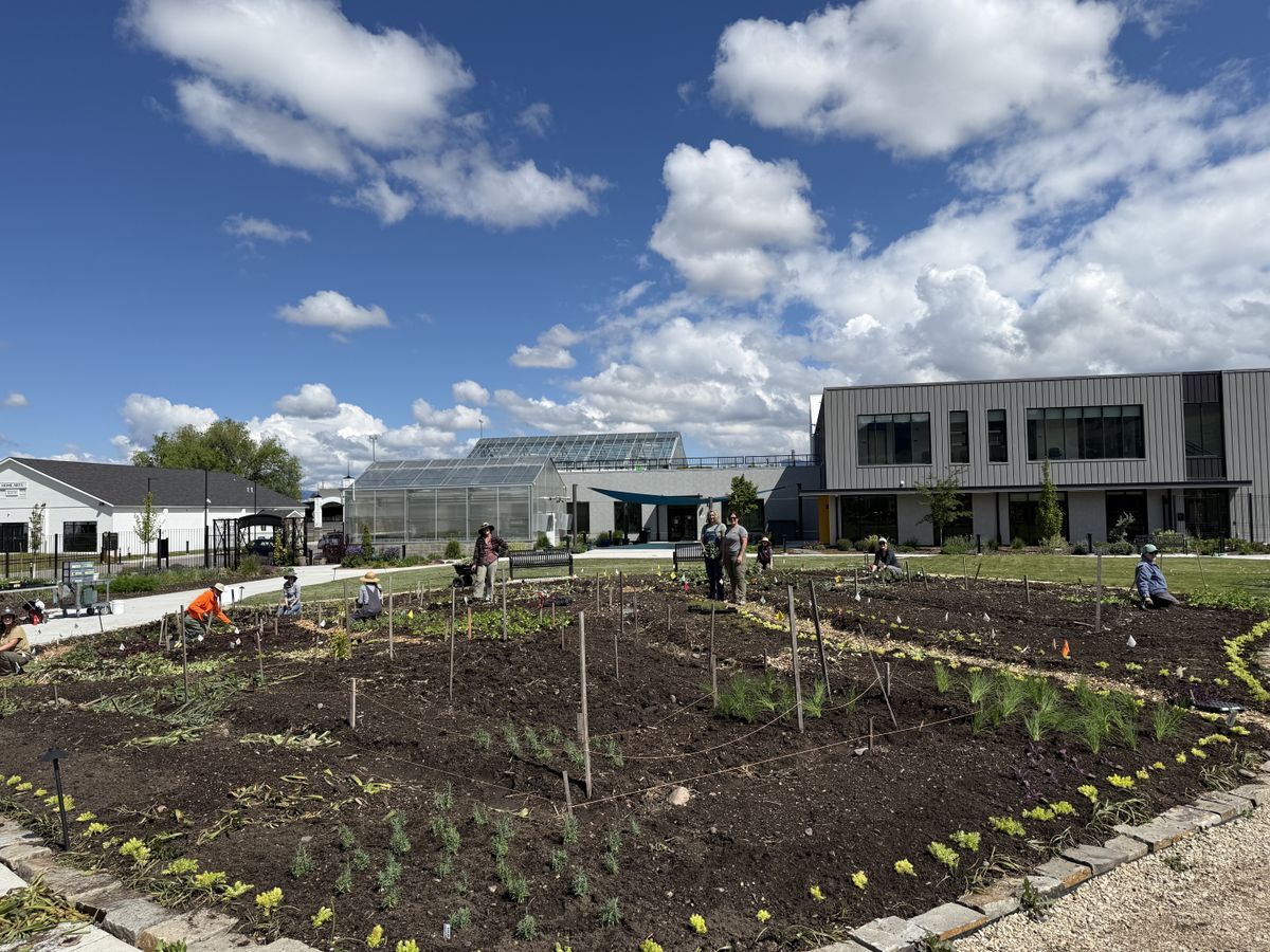 Each season the Gardens host a volunteer event to plant Beautiful Blooms