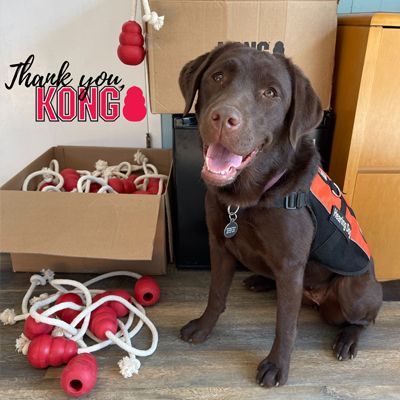 Generous Gift from KONG Sets Tails a Wagging