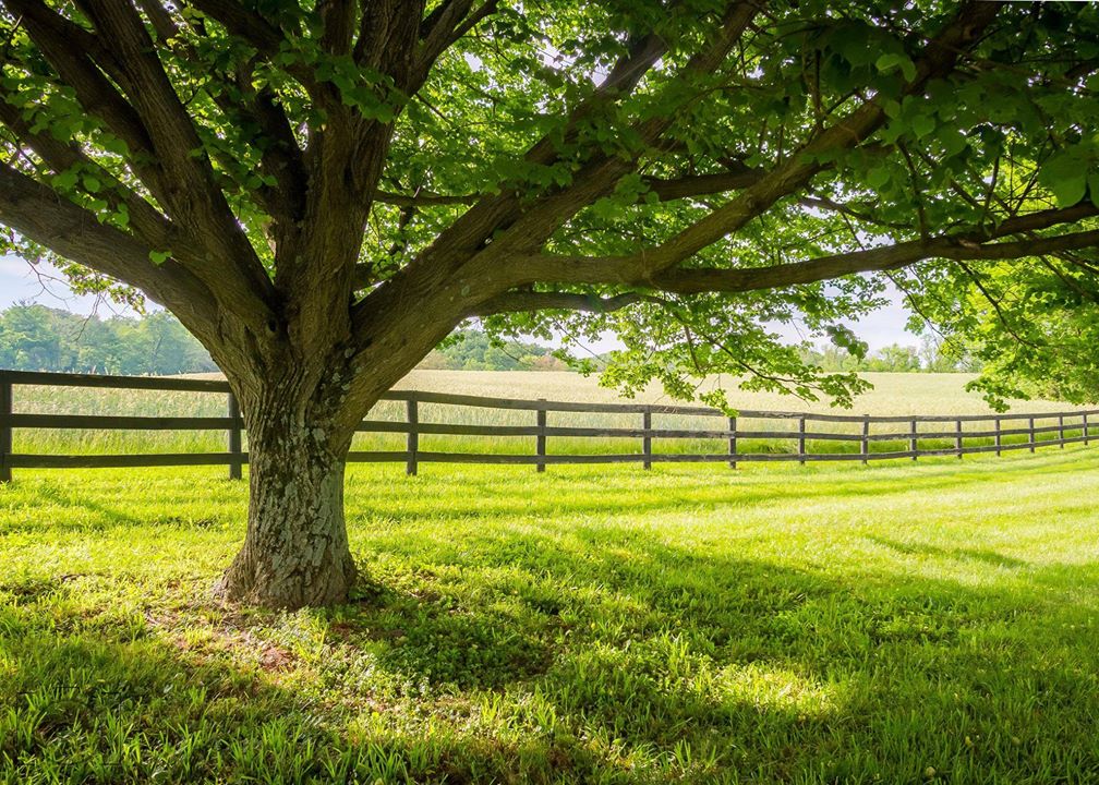 "Morven Park Moments: A Photography Partner Showcase" Reception