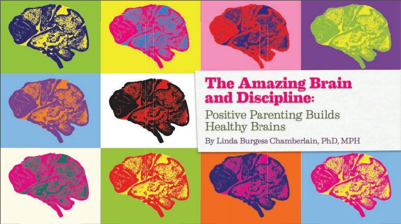 The Amazing Brain and Discipline: Positive Parenting Builds Healthy Brains