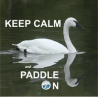 Magnet: Keep Calm and Paddle On