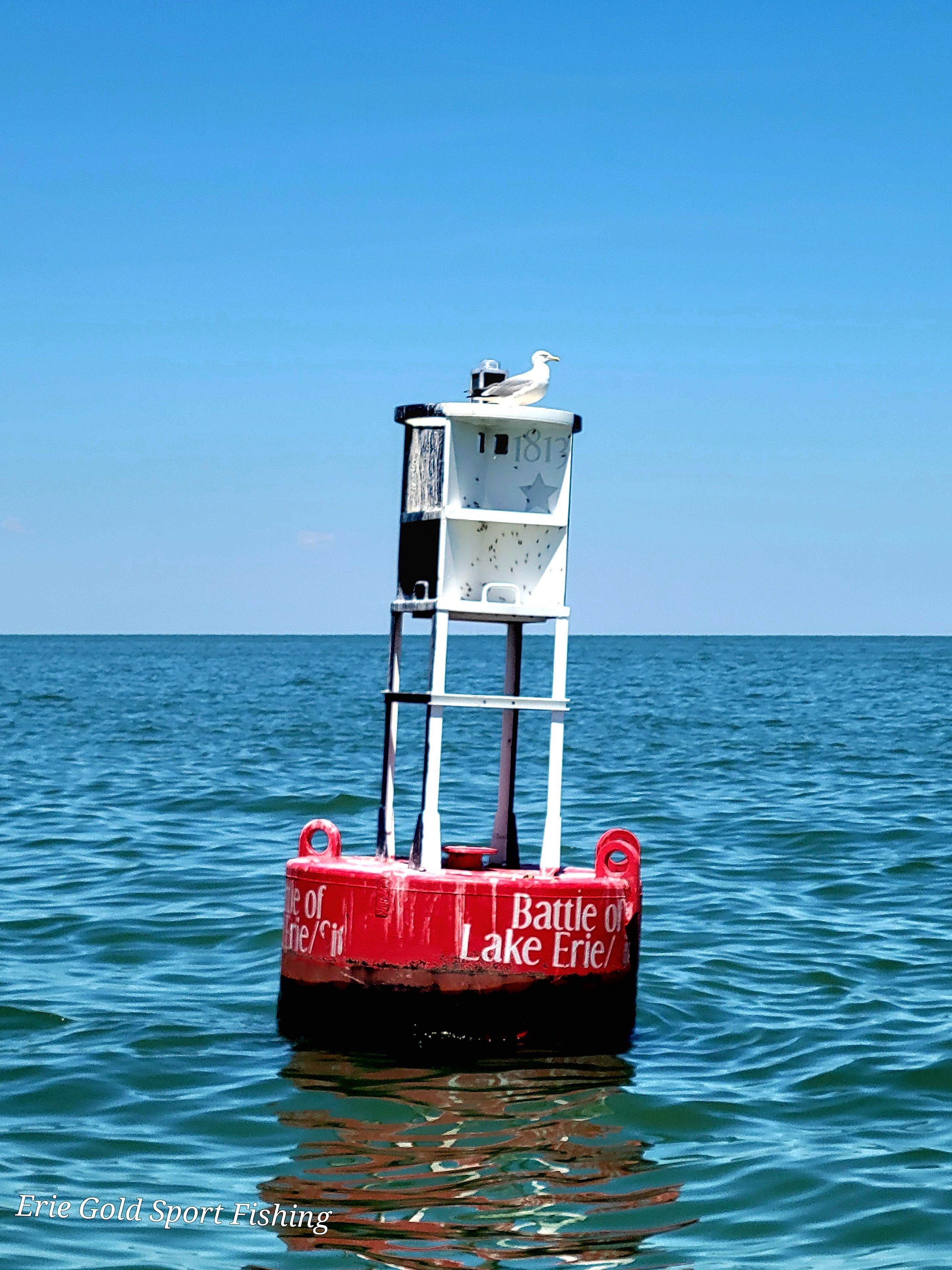 Lake Erie Now