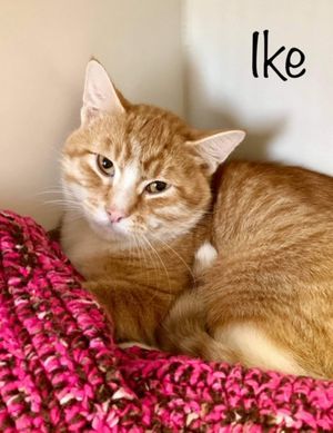 IKE