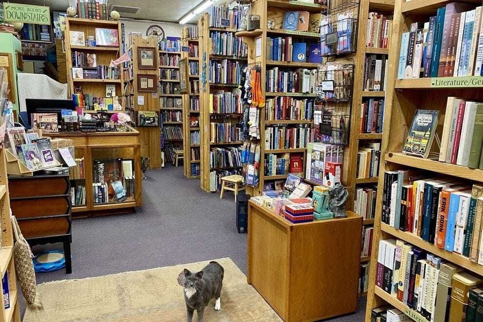 Image of the interior of A Novel Idea Bookstore. The bookstore is filled with wall-to-ceiling shelves and books. Charlie, a gray cat, stands in the middle of the space.