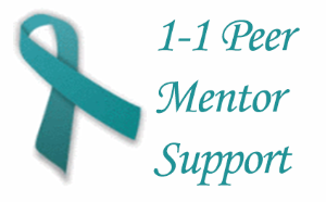 One on One Peer Mentor Support