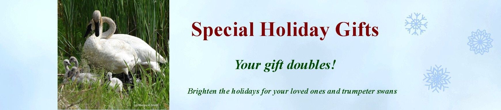 Holiday Swan Gift Catalog Your gift doubles