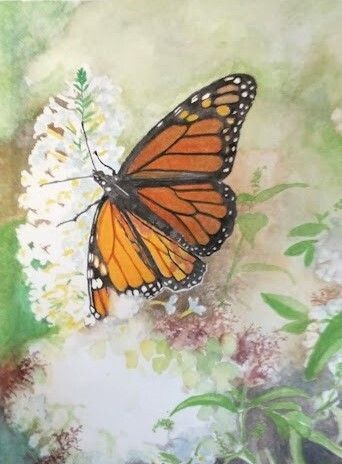 watercolor image of a butterfly