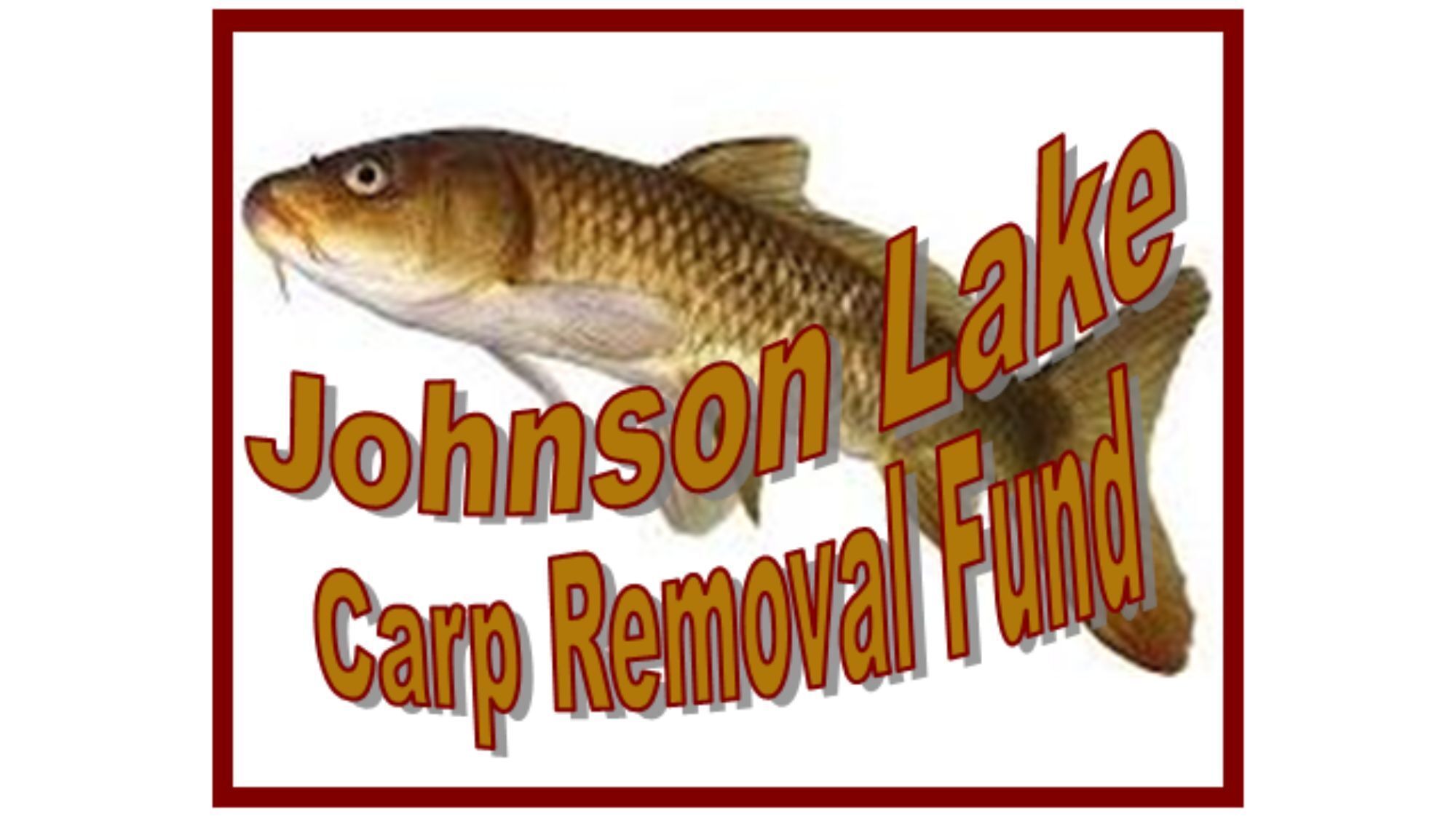 Johnson Lake Carp Removal