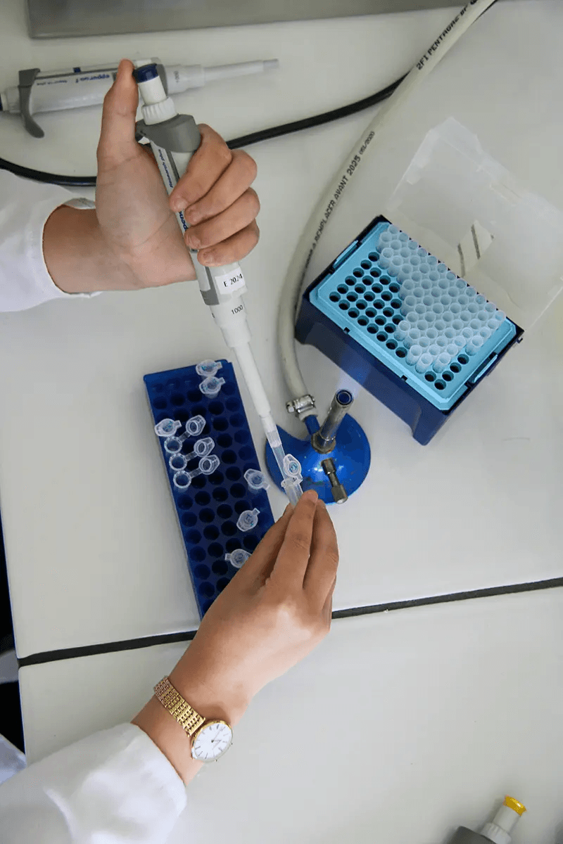 hands working with lab samples at desk