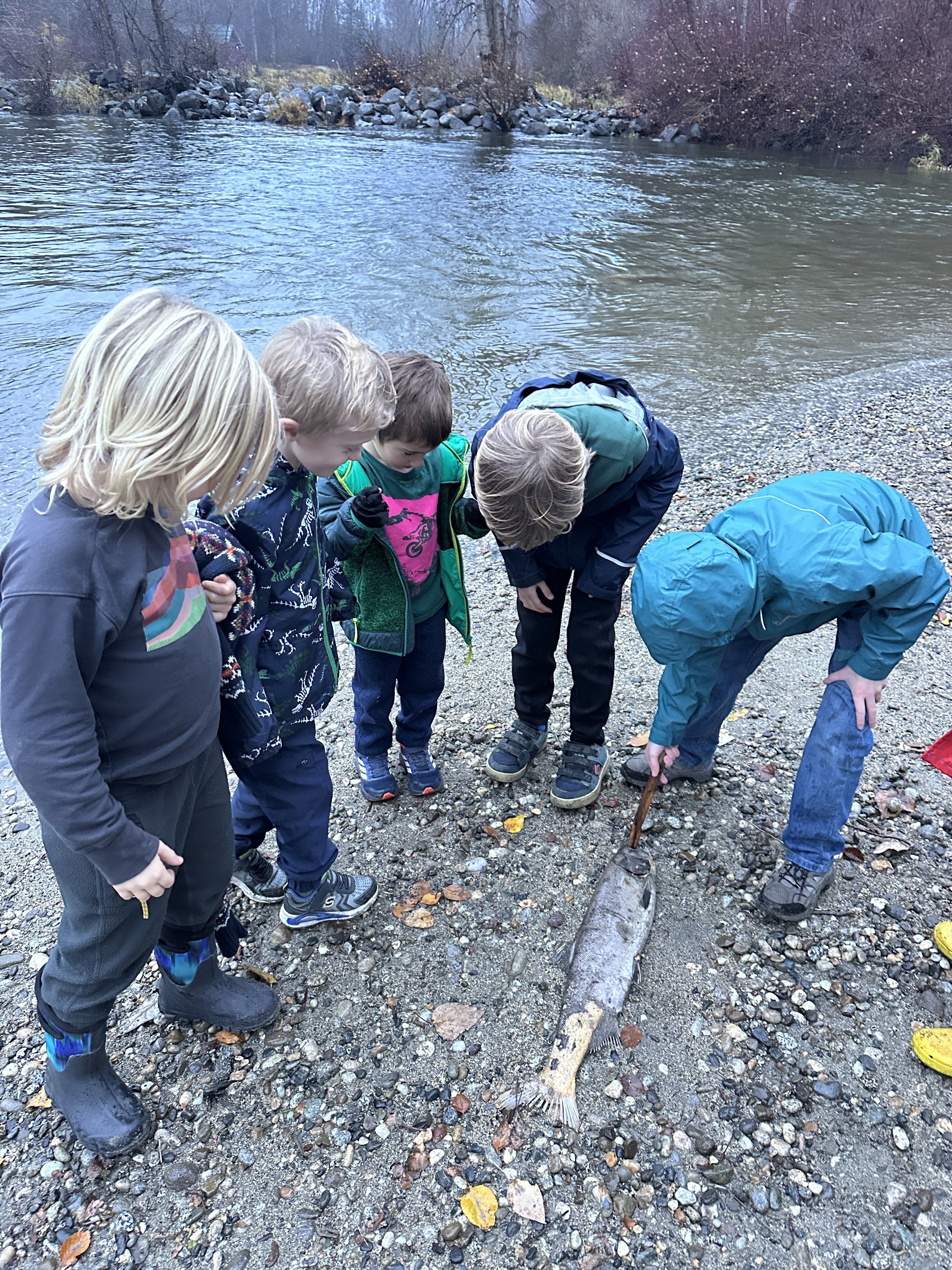 November 26th Newsletter