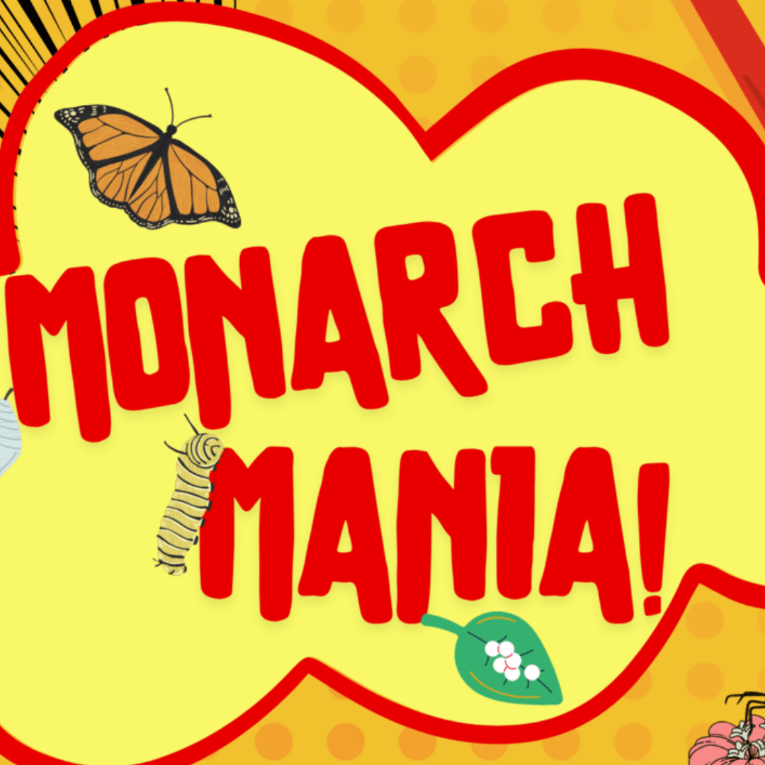 Monarch Mania