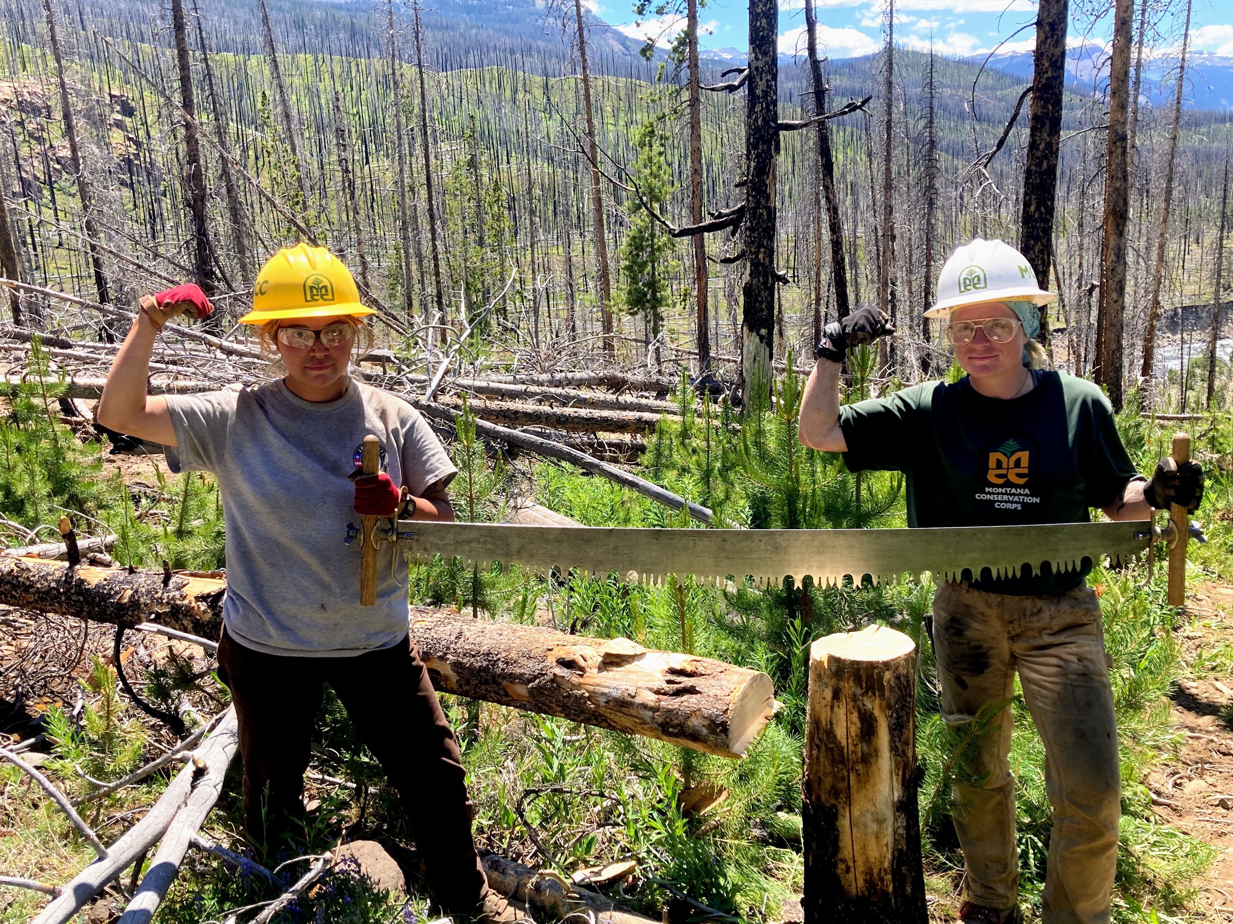 A crew leader and field crew member pose with their crosscut saw