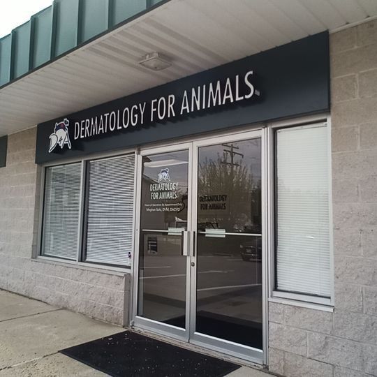 Dermatology for Animals