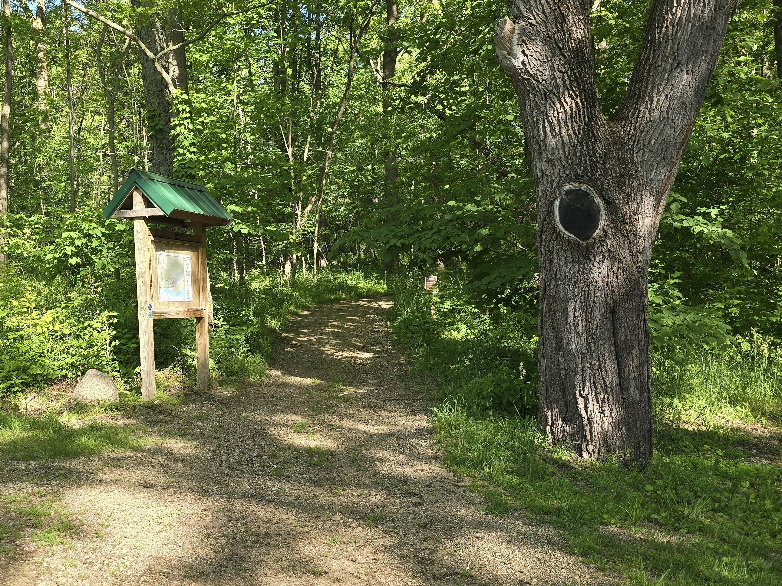 Trail