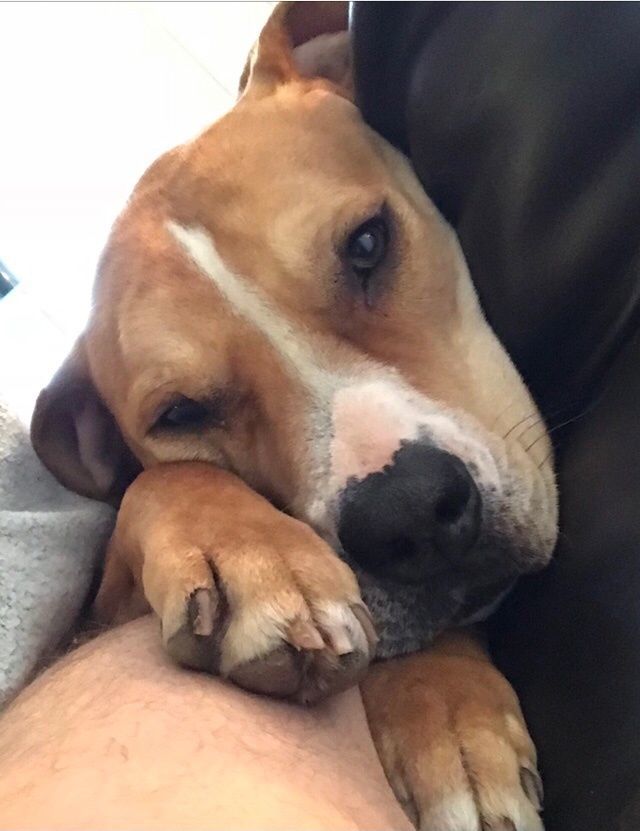Charlie