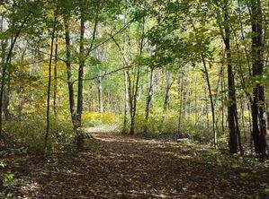 Winding trail with fall colors at Historic Charlton Park .