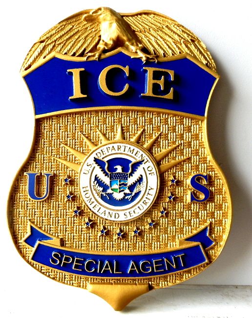 M2162 -  Wall Plaque of the Badge of Immigaration & Customs Enforcement Agent (Galleries 30 and 33, page 2)
