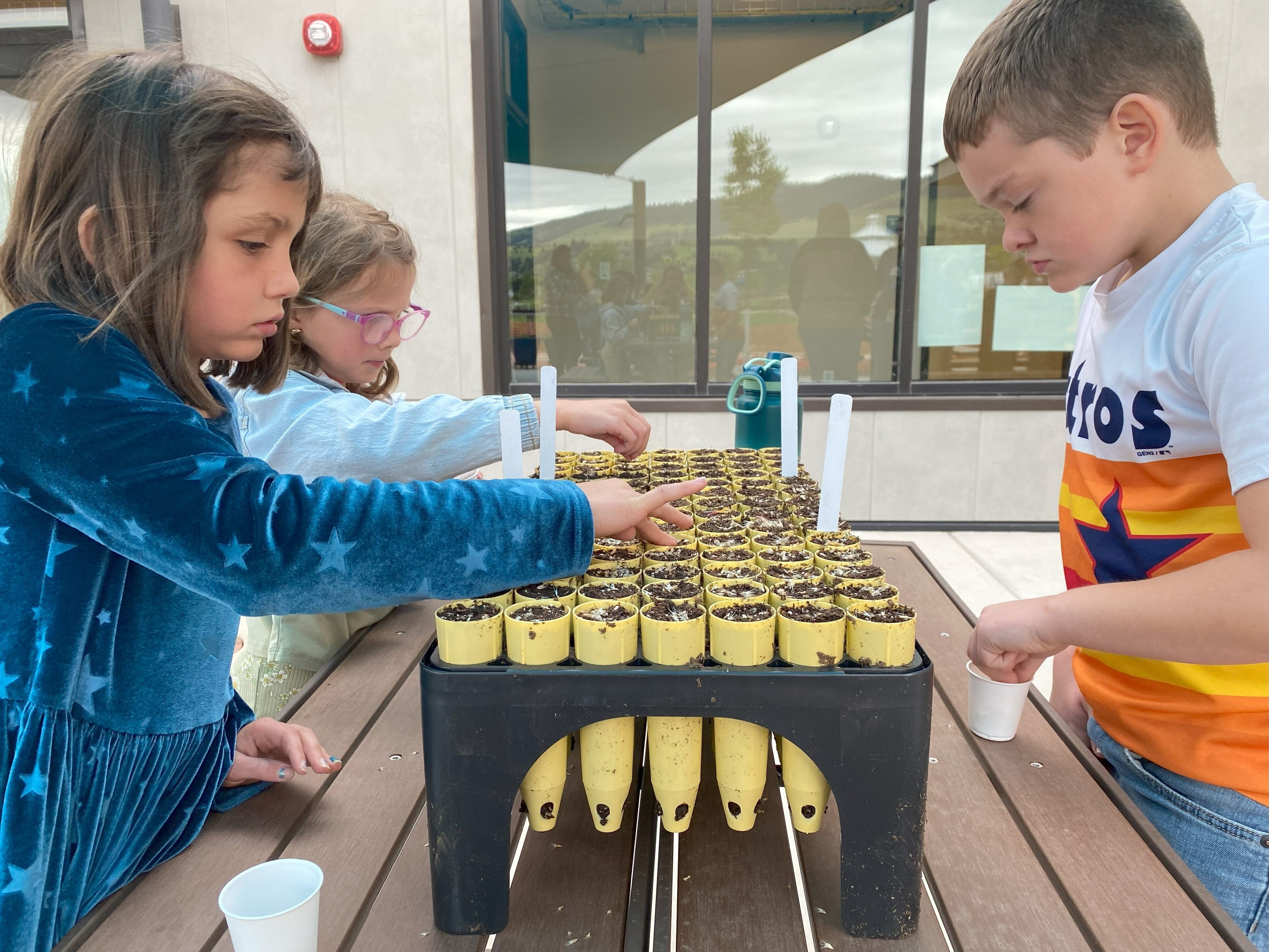 2nd grade students plant seeds for the pollinator pathway