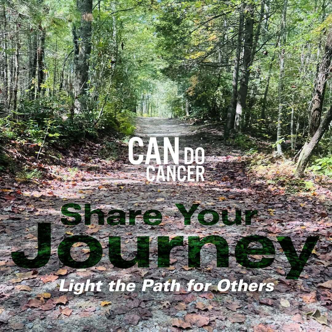 walking path among the trees