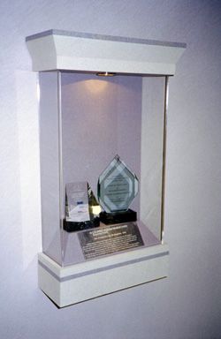 Award Display Cabinet 