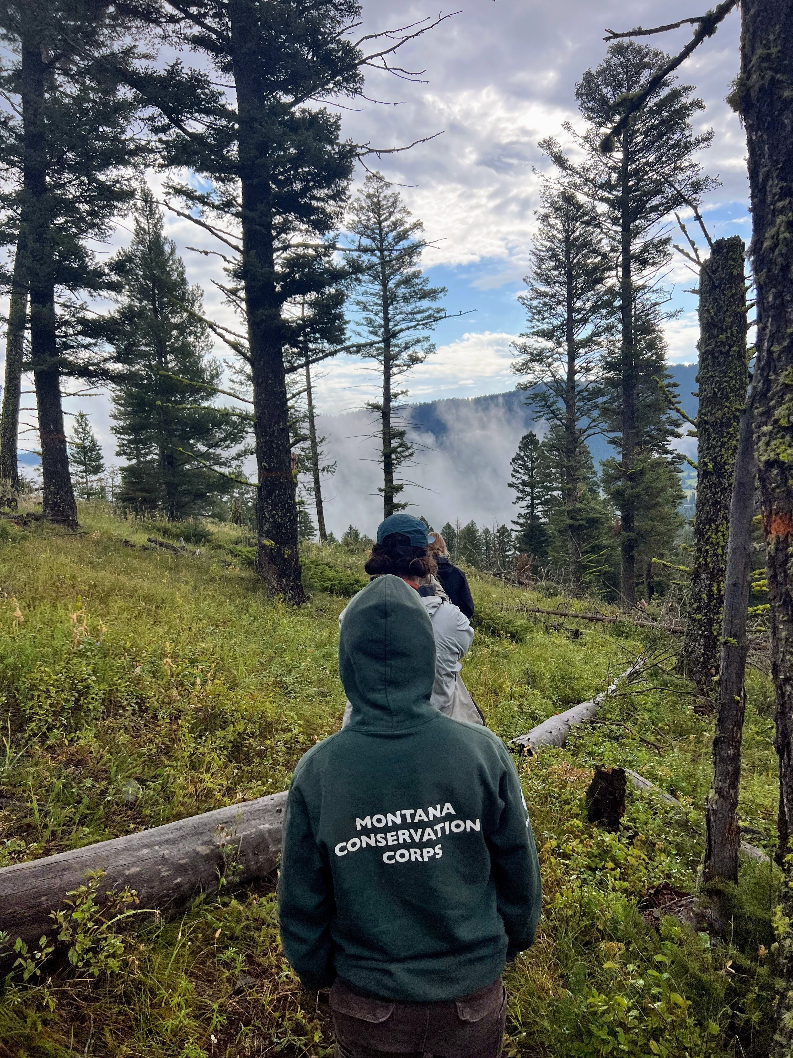 Crew members walking down a trail. The member closest to the camera has a sweatshirt with "Montana Conservation Corps" on the back.
