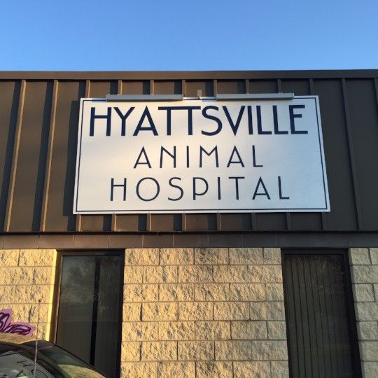 Hyattsville Animal Hospital