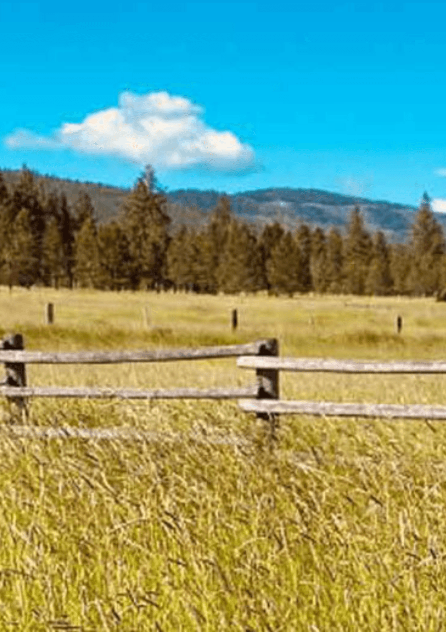 Commercial Applicator Program